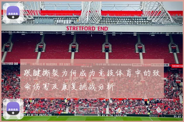 跟腱撕裂为何成为竞技体育中的致命伤害及康复挑战分析